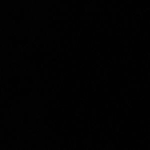 Meet your Posher, Alisha